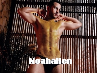 Noahallen