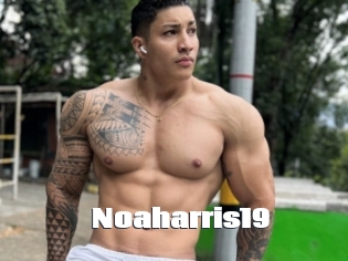 Noaharris19