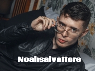 Noahsalvattore