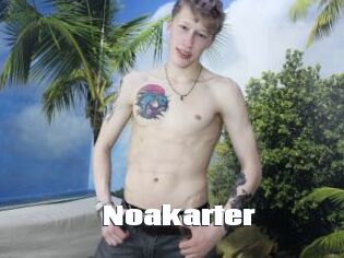 Noakarter