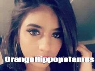 OrangeHippopotamus
