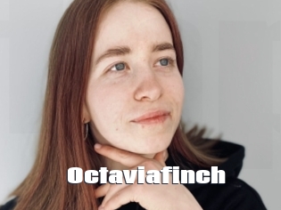 Octaviafinch