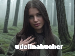 Odelinabucher
