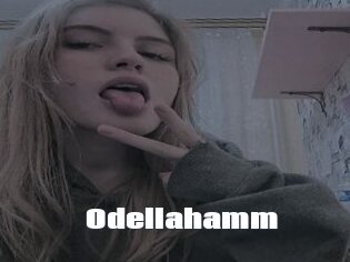 Odellahamm