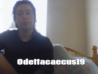 Odettacaecus19