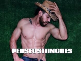 PERSEUS11INCHES