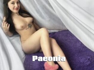 Paeonia