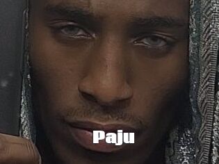 Paju
