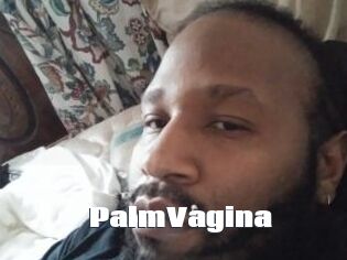 PalmVagina