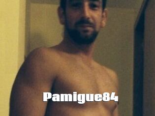 Pamigue84