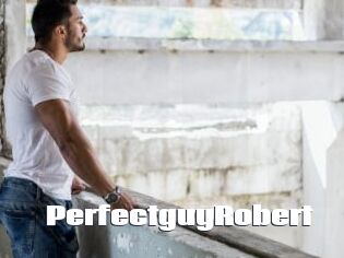 PerfectguyRobert