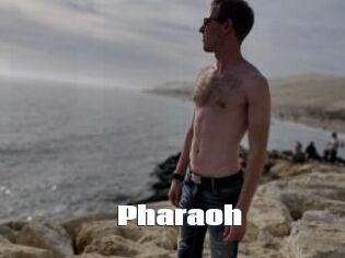 Pharaoh