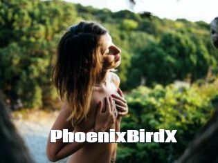 PhoenixBirdX