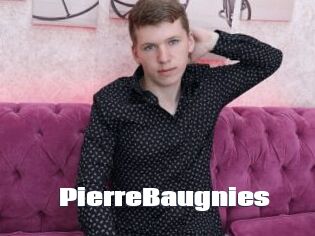 PierreBaugnies