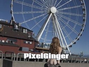 PixelGinger