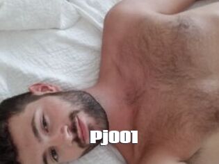 Pj001