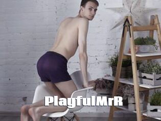 PlayfulMrR The hot porn