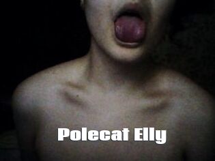 Polecat_Elly