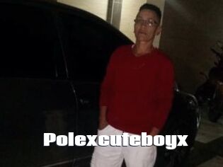 Polexcuteboyx