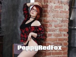 PoppyRedFox