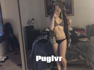 Puglvr