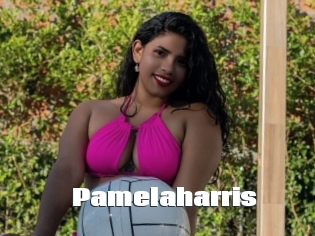 pamelaharris The hot porn