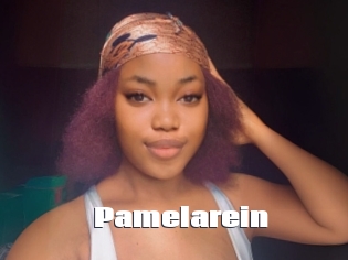 Pamelarein