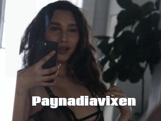 Paynadiavixen