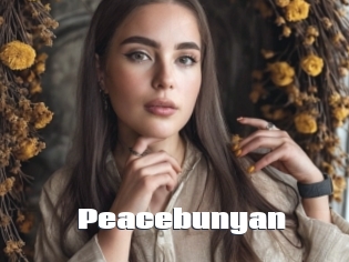 Peacebunyan
