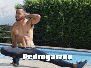 Pedrogarzon
