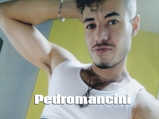 Pedromancini