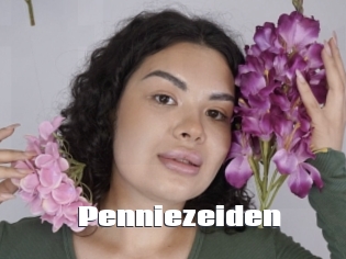 Penniezeiden