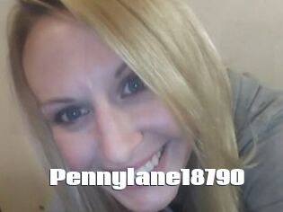 Pennylane18790