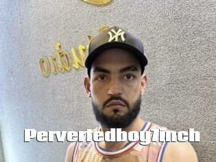 Pervertedboy7inch