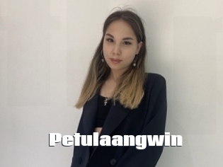 Petulaangwin