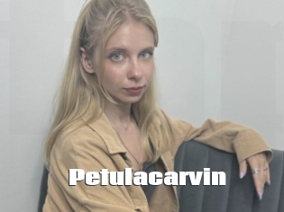 petulacarvin The hot porn