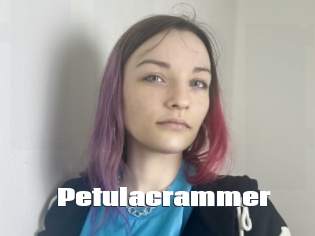 petulacrammer The hot porn