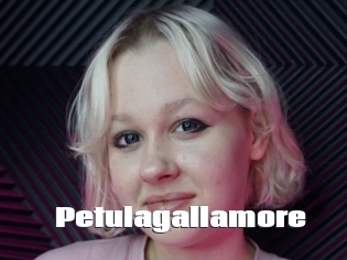 Petulagallamore