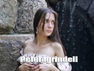 petulagrindell The hot porn
