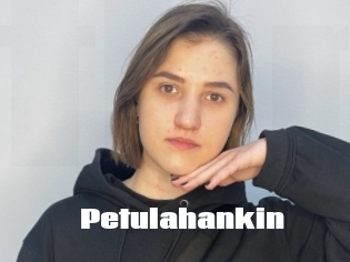 Petulahankin