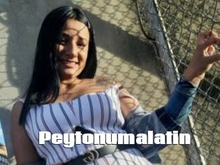 Peytonumalatin