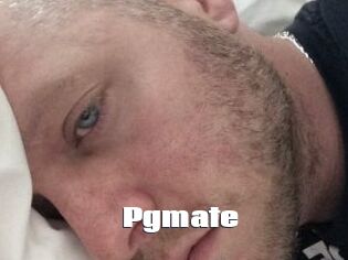 Pgmate