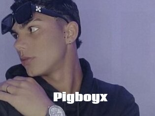 Pigboyx