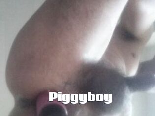 Piggyboy