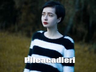 Pileacadieri