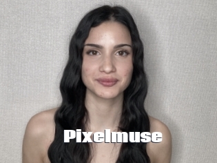Pixelmuse