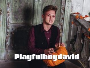 Playfulboydavid