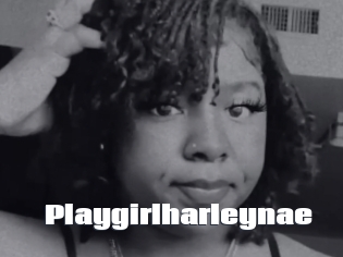 Playgirlharleynae