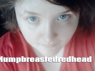 Plumpbreastedredhead