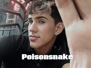 Poisonsnake